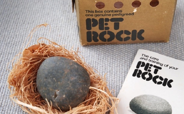 pet-rock