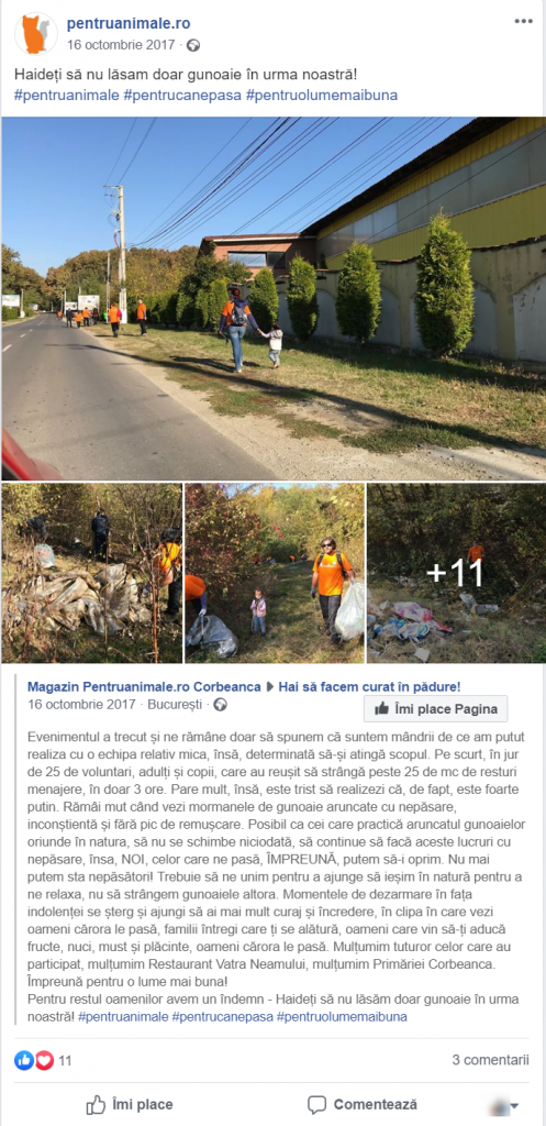 voluntariat-magazin-online